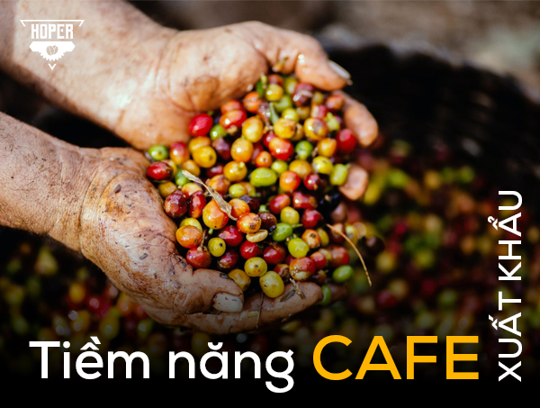 Tiềm năng cực lớn từ thị trường cà phê rang xay xuất khẩu